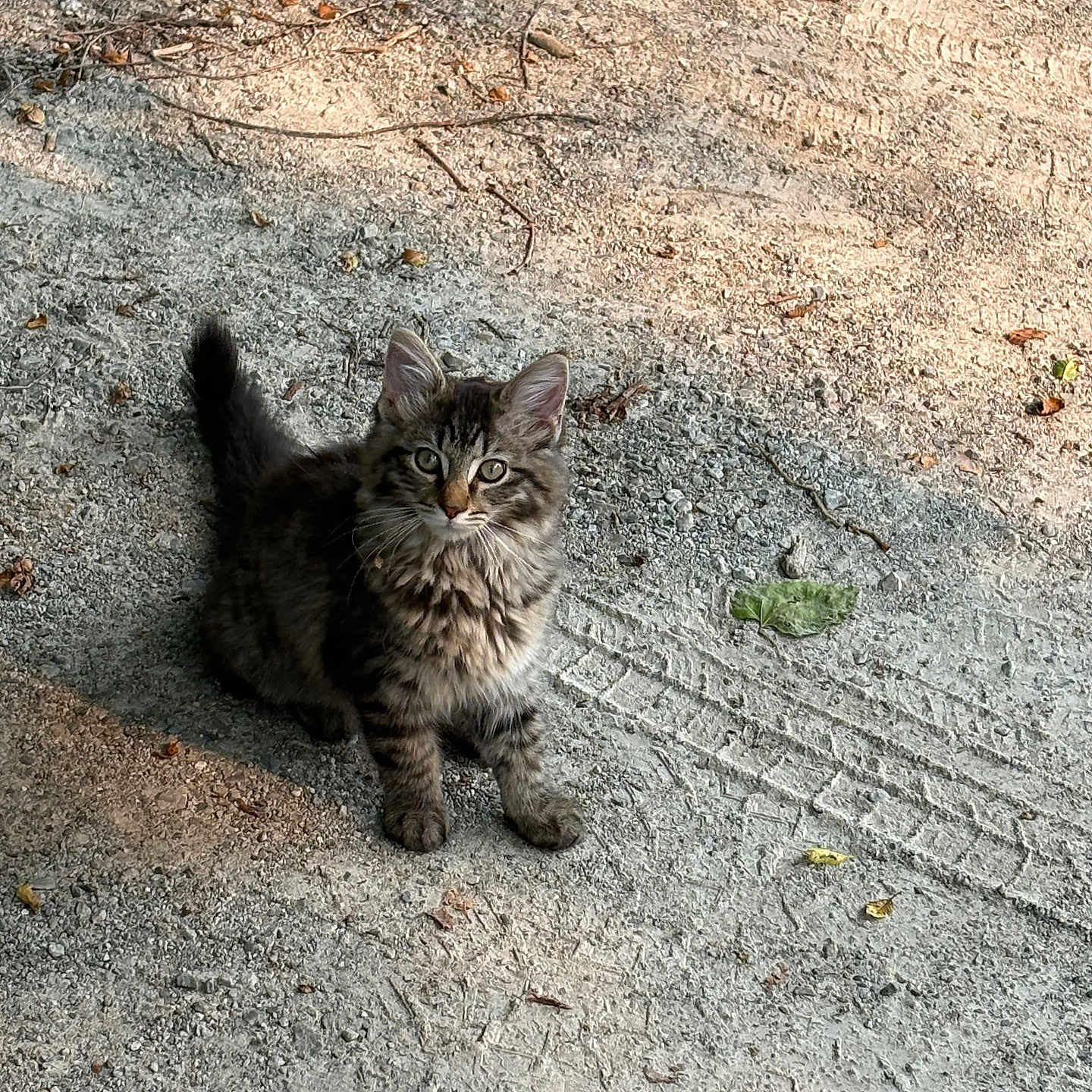 Milo