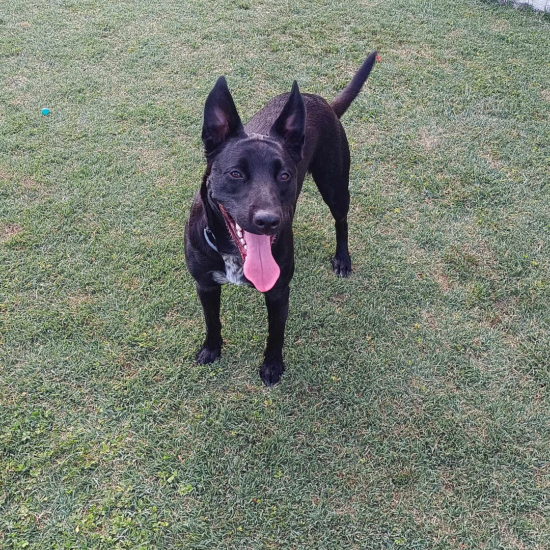 Luna