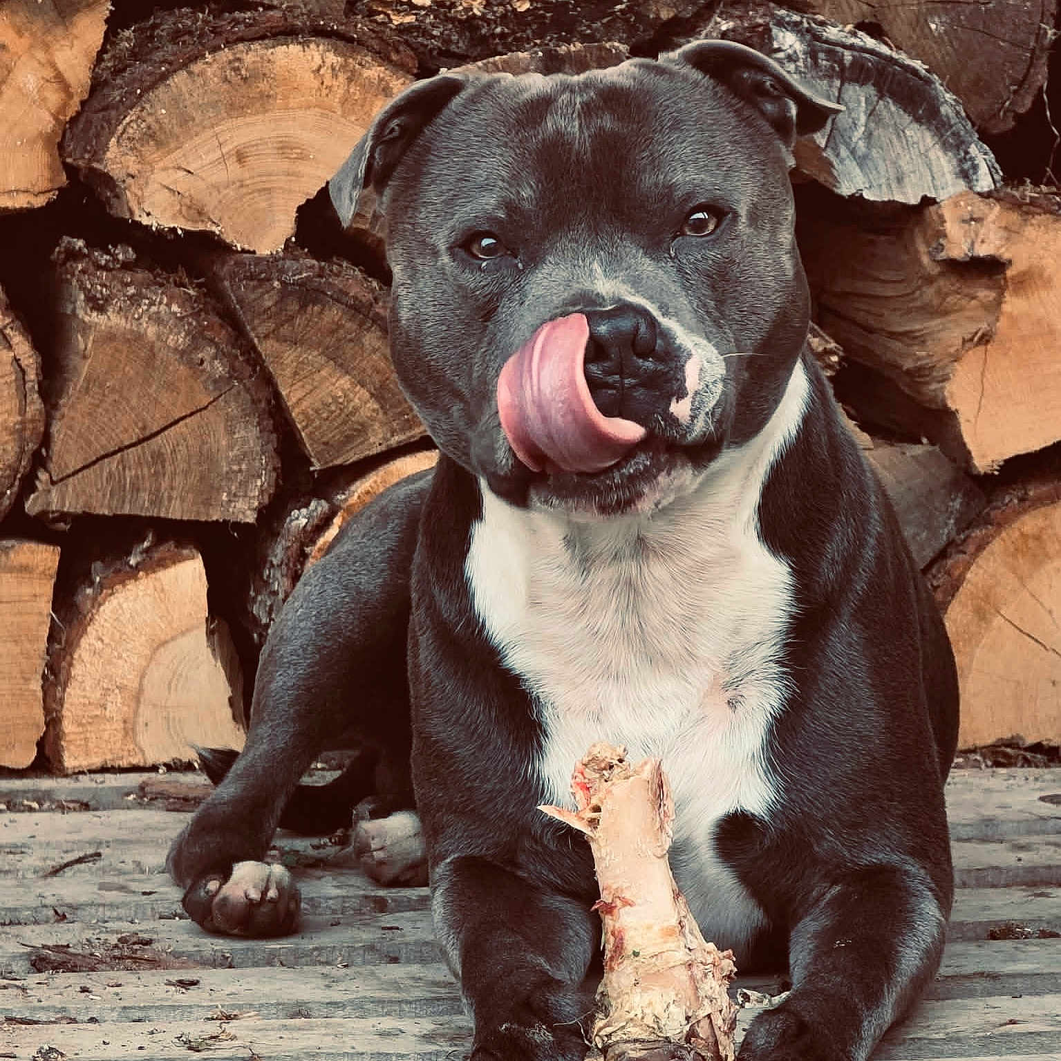 Taïko