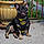 Bruce