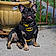 Bruce