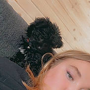 Bear is registered to the contest to win money with this photo: person, dog, black_dog, pet, couch, wooden_wall, indoor, relaxed, closeup, casual, fur, companion, cozy, portrait, resting, young_adult, light_hair, soft_lighting, home, comfort