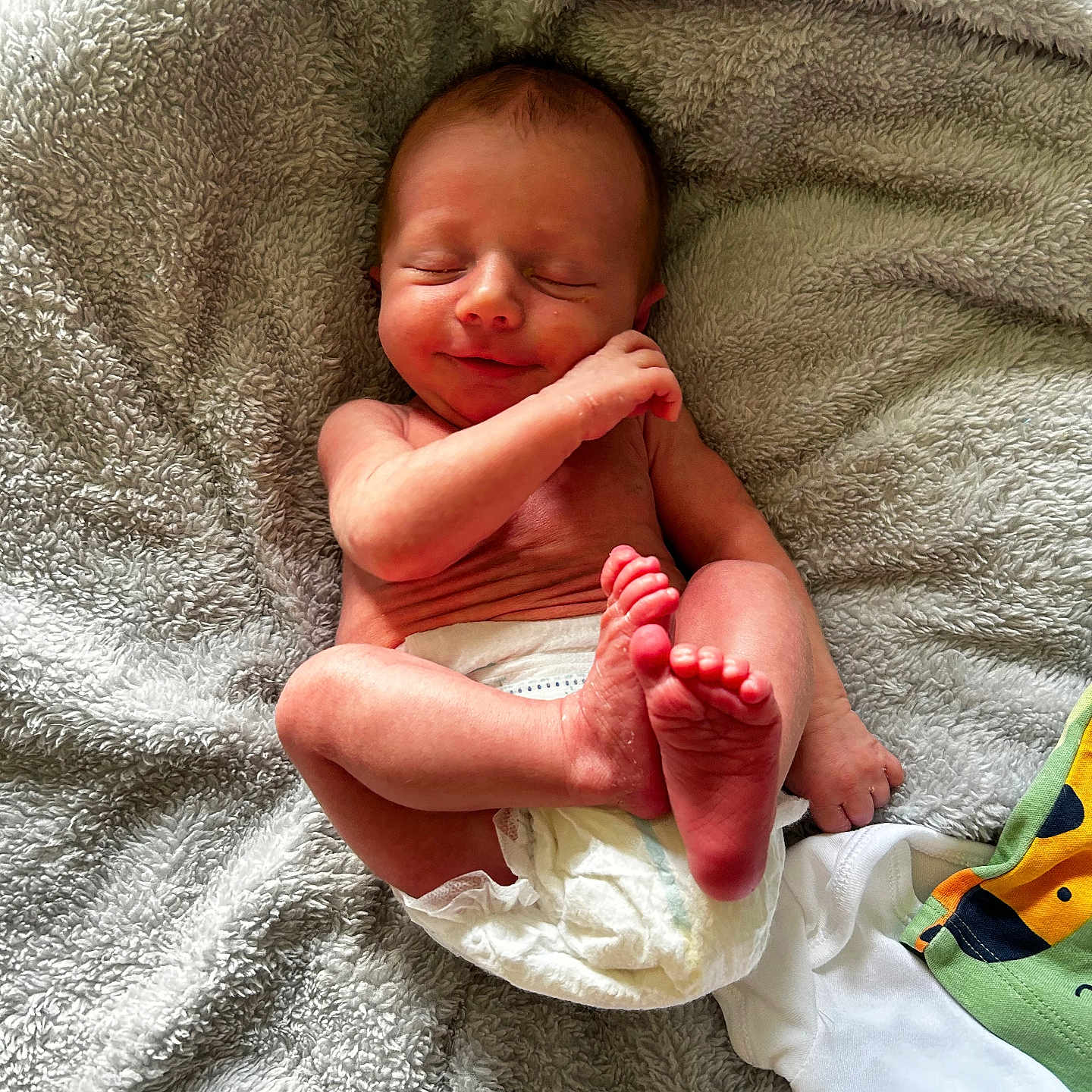 Dodger is registered to the contest to win money with this photo: baby, bed, bedroom, blanket, bodypart, diaper, face, finger, furniture, hand, head, indoors, newborn, person, photography, portrait, quilt, room, sleeping, towel