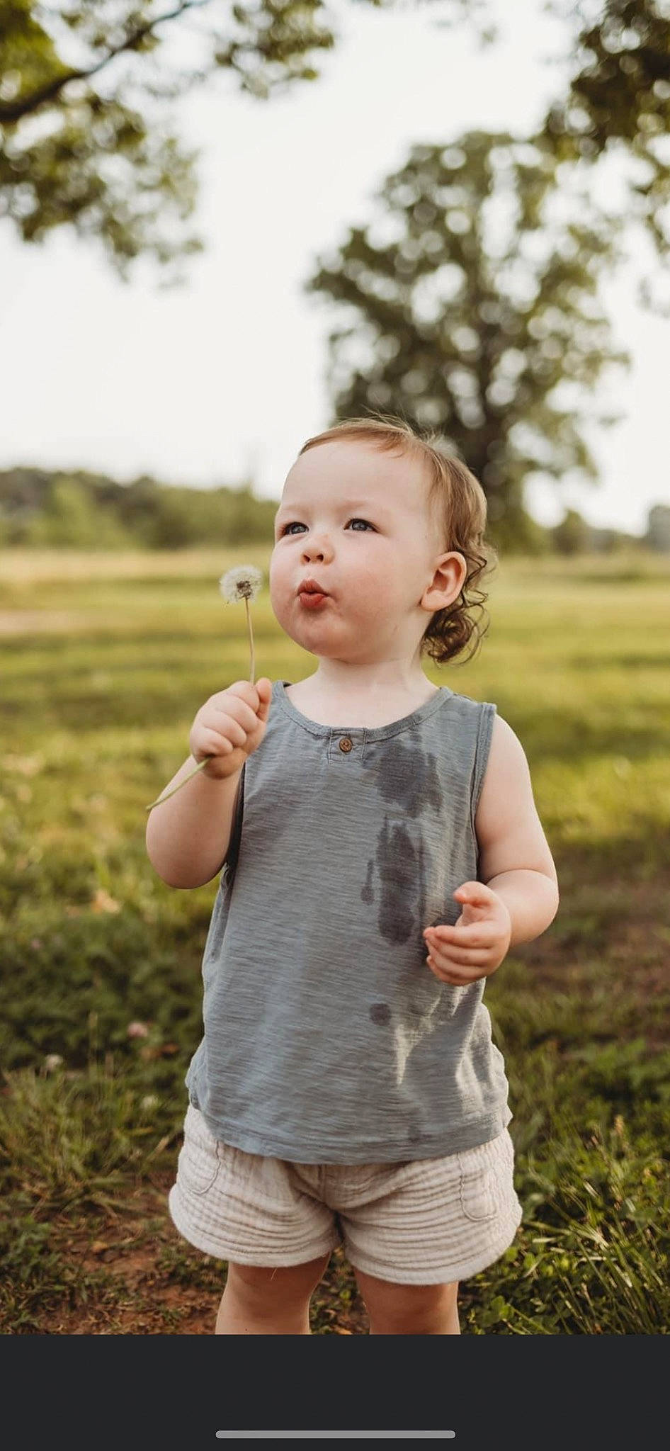 Brady is registered to the contest to win money with this photo: baby, baby_toddler_clothing, finger, flash_photography, gesture, grass, grass_family, happy, meadow, people_in_nature, person, plant, skin, sky, sleeve, standing, summer, sunlight, t_shirt, toddler