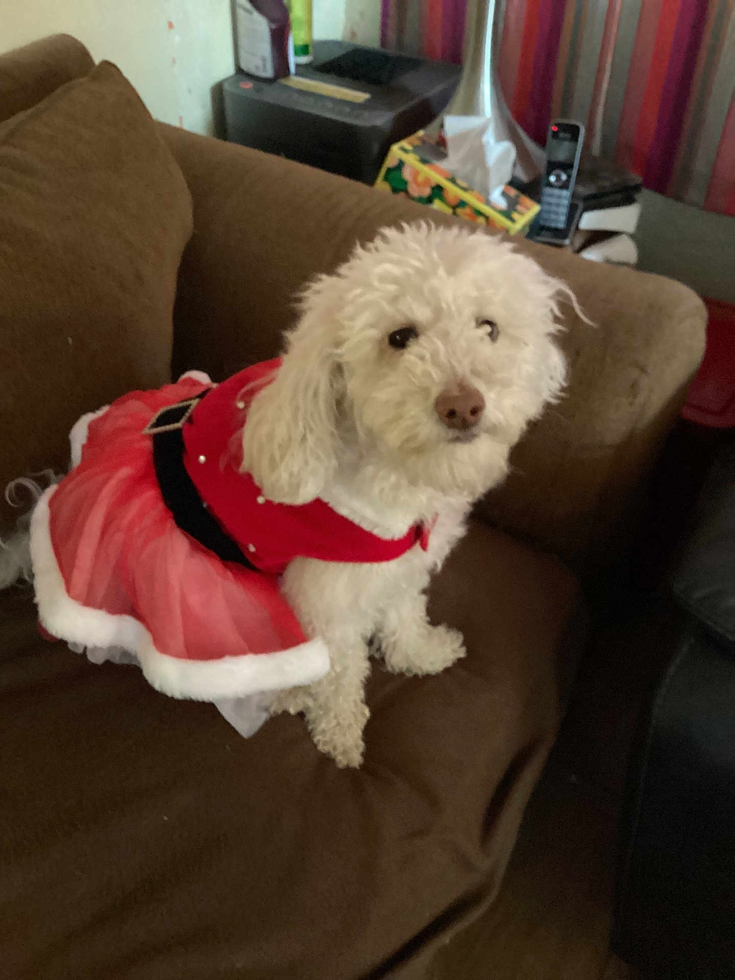 Rosie