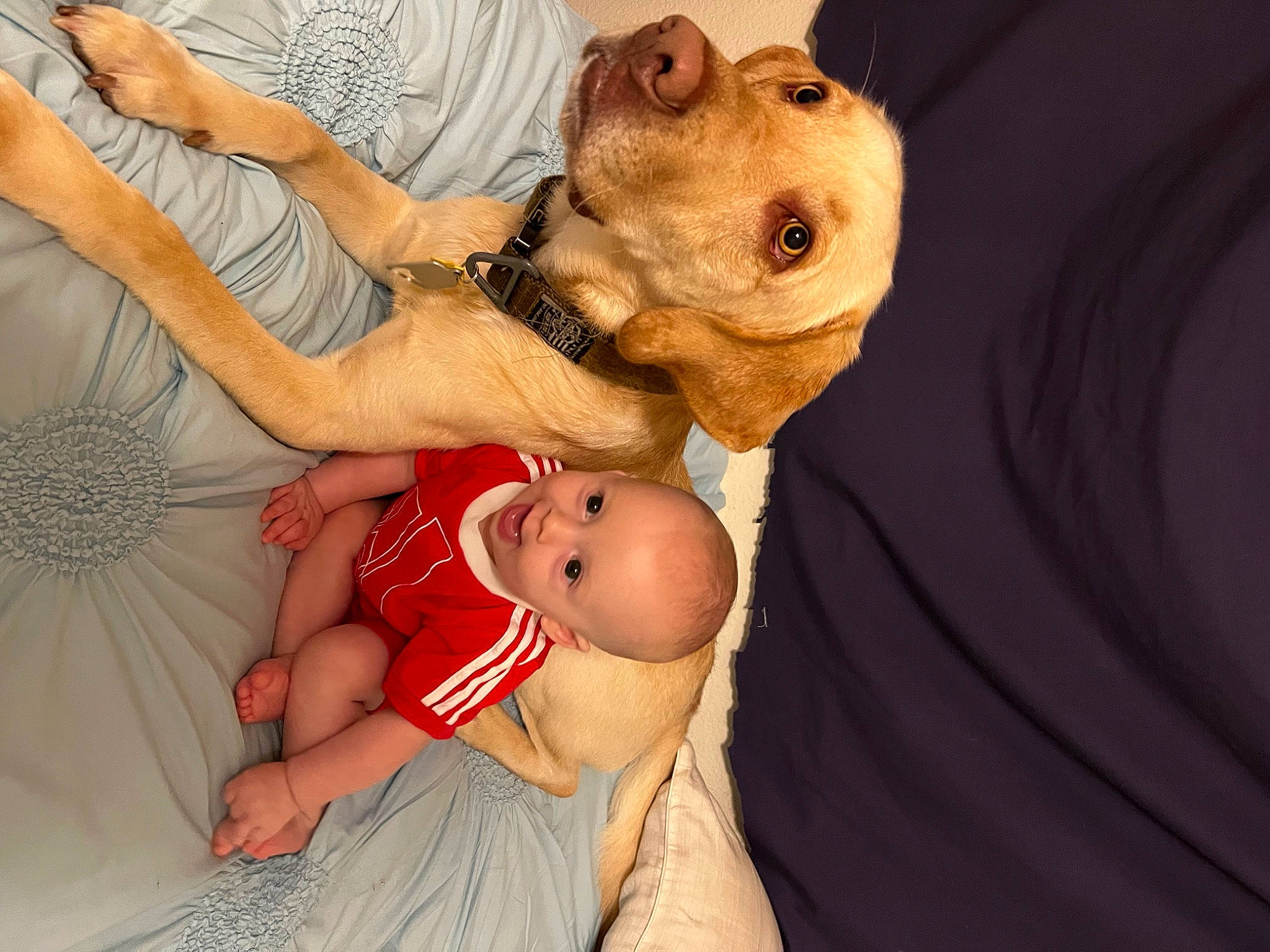 Israel is registered to the contest to win money with this photo: abdomen, baby, baby_products, baby_toddler_clothing, child, comfort, event, fawn, fun, fur, gesture, happy, hat, jewellery, person, skin, toddler