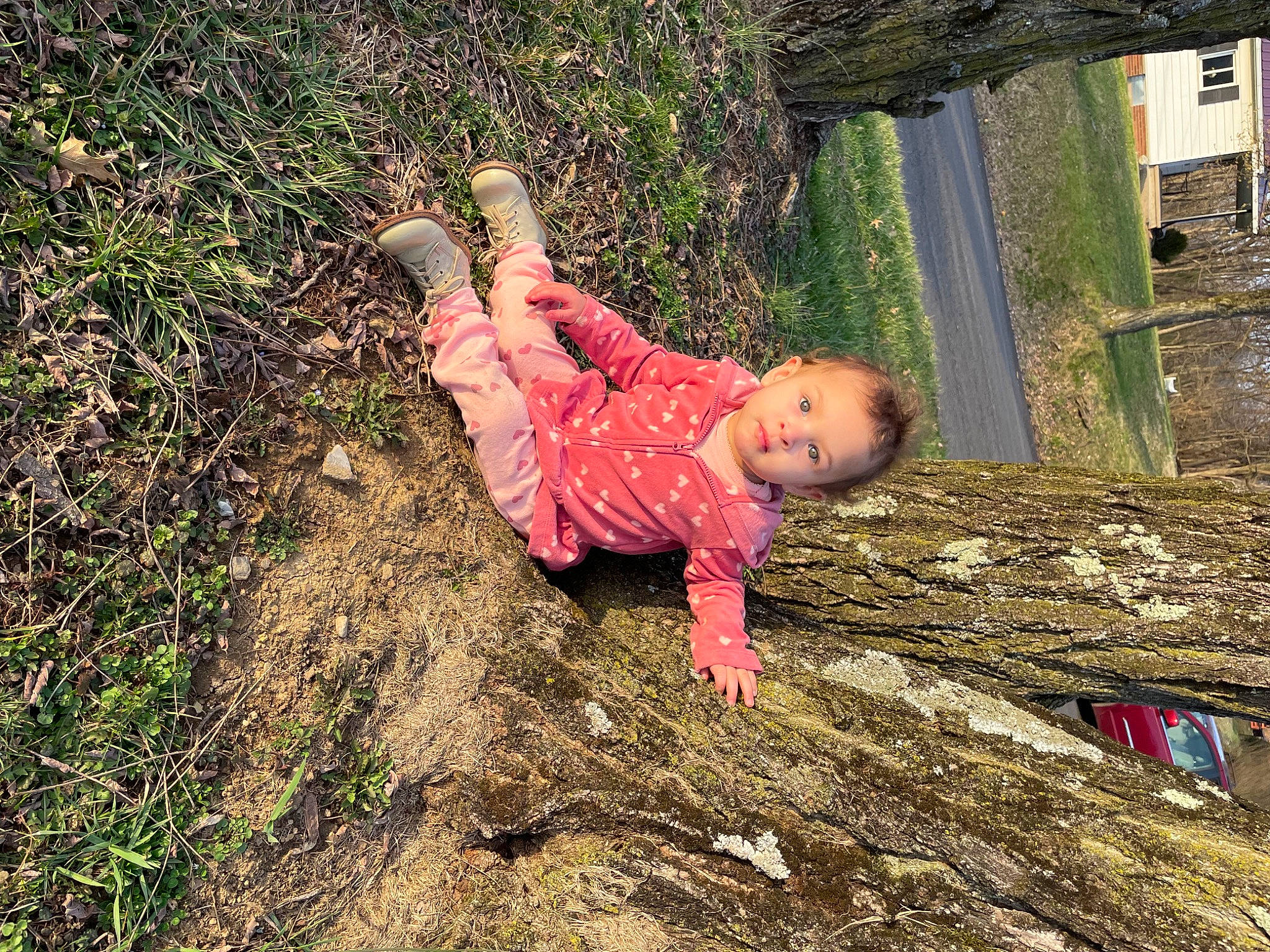 Karma is registered to the contest to win money with this photo: adaptation, baby, baby_toddler_clothing, child, fun, grass, happy, landscape, leisure, magenta, people_in_nature, person, plant, recreation, rock, sitting, soil, toddler, tree, trunk