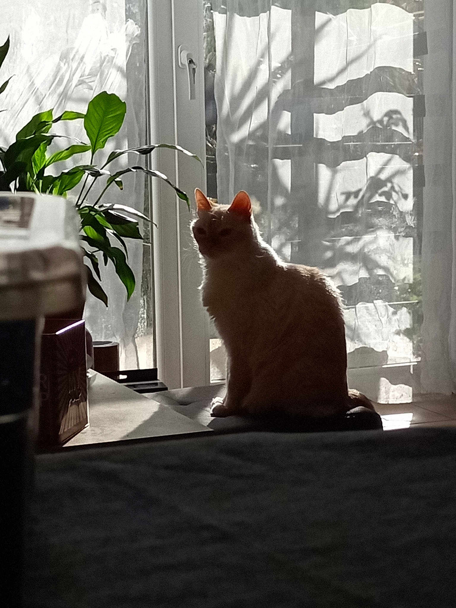 Leeloo