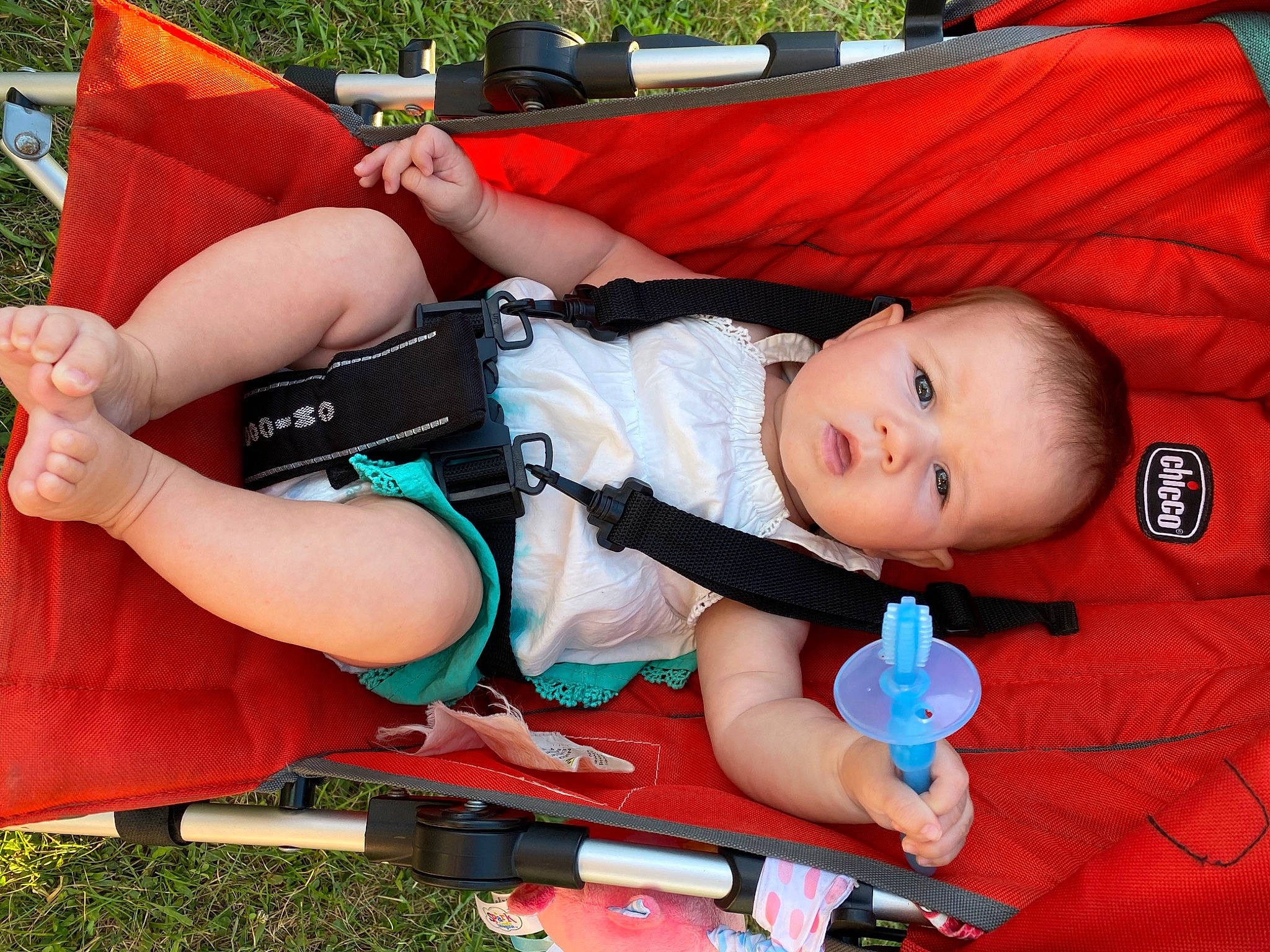Zoey is registered to the contest to win money with this photo: baby, baby_carriage, baby_products, baby_toddler_clothing, child, fun, grass, lap, leisure, person, plant, play, recreation, red, shorts, sitting, smile, toddler, toy, tree