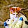 Calli