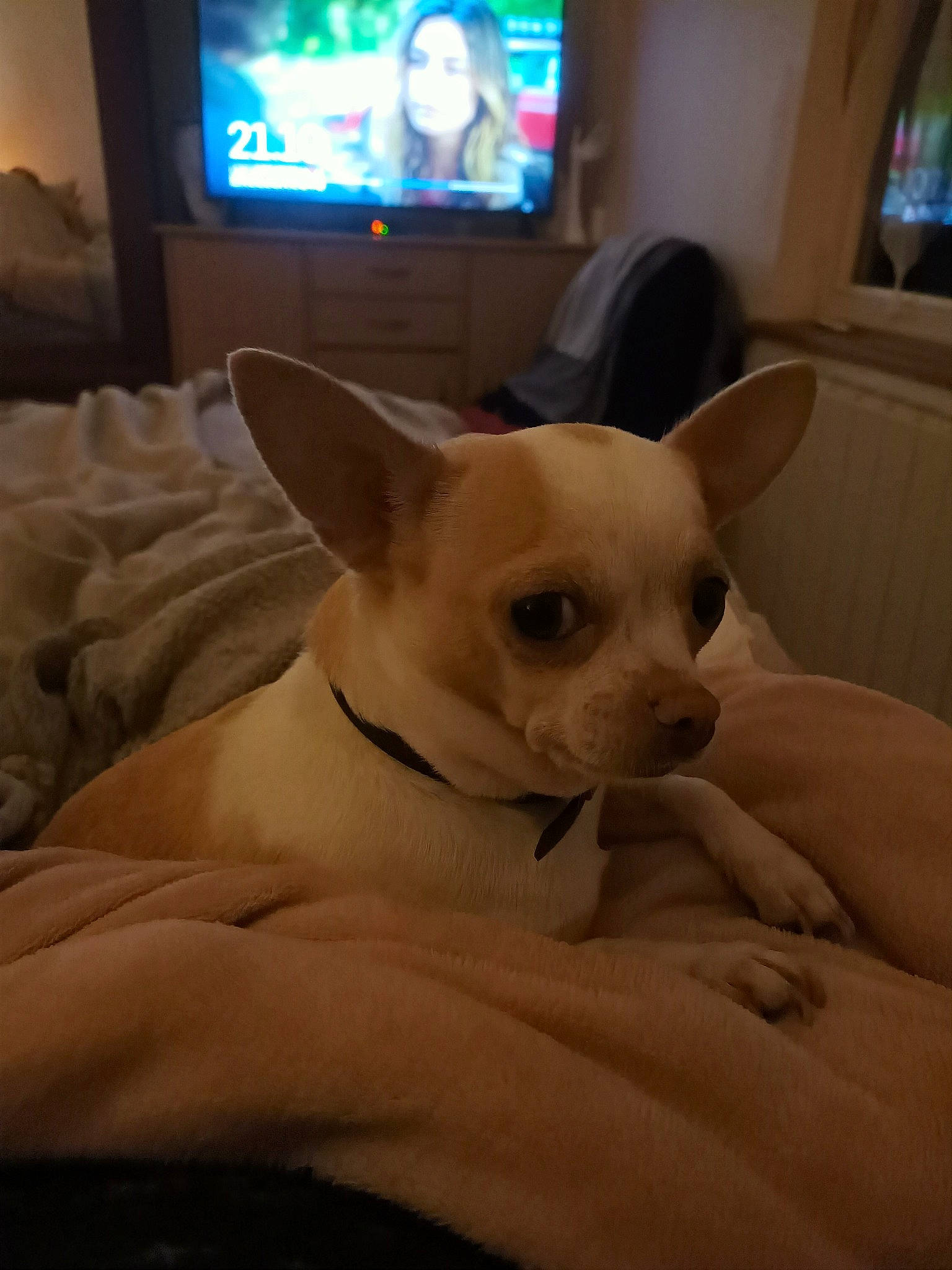 Maya