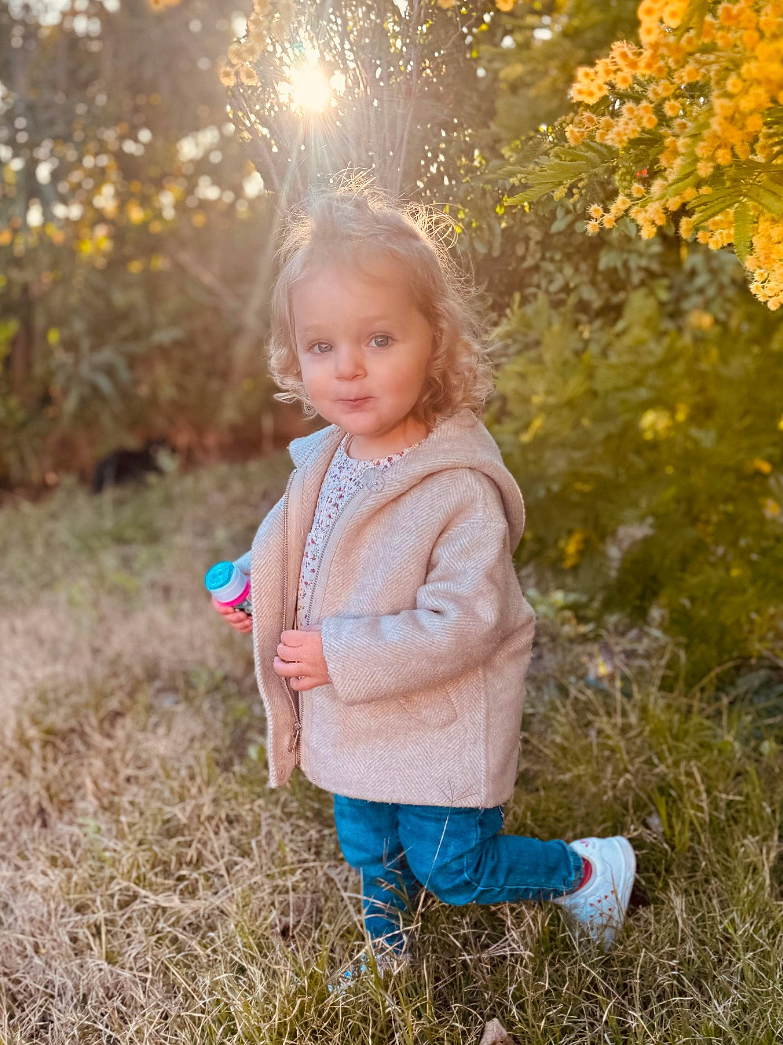 Emy participe au concours pour gagner de l'argent avec cette photo : baby_toddler_clothing, beauty, branch, child, fawn, flash_photography, fun, grass, happy, head, leaf, meadow, nature, people_in_nature, person, plant, standing, sunlight, toddler, tree