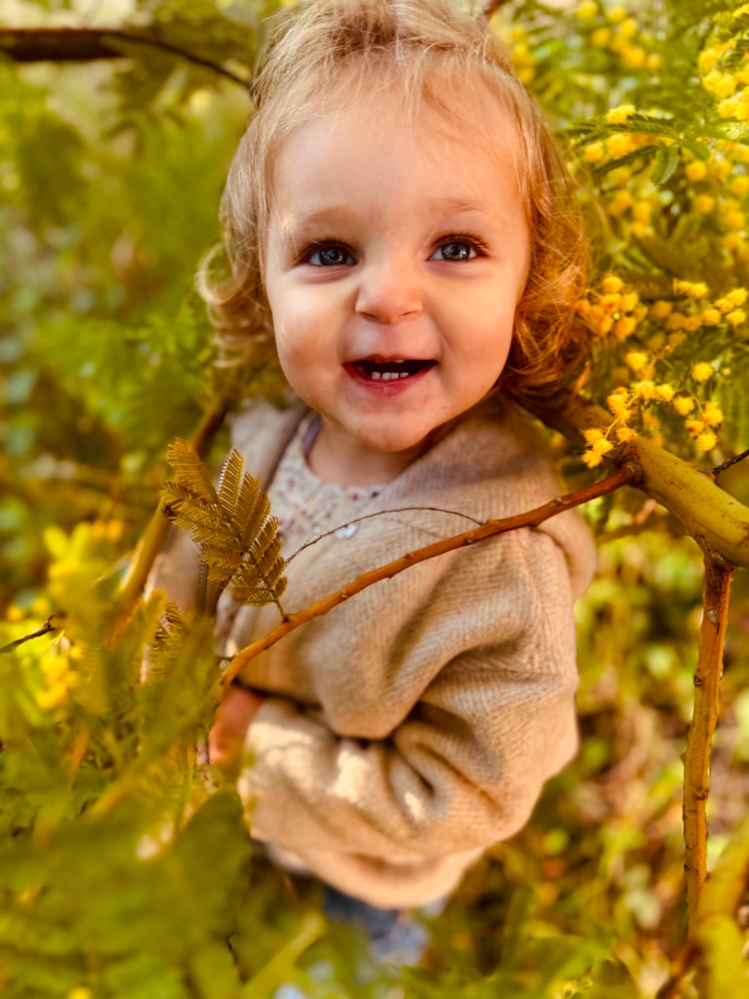 Emy a rejoint le concours — aidez-le/la à gagner de superbes lots ! baby, baby_toddler_clothing, blond, branch, child, eye, fun, gesture, grass, hair, happy, head, iris, joy, natural_landscape, people_in_nature, person, plant, smile, toddler