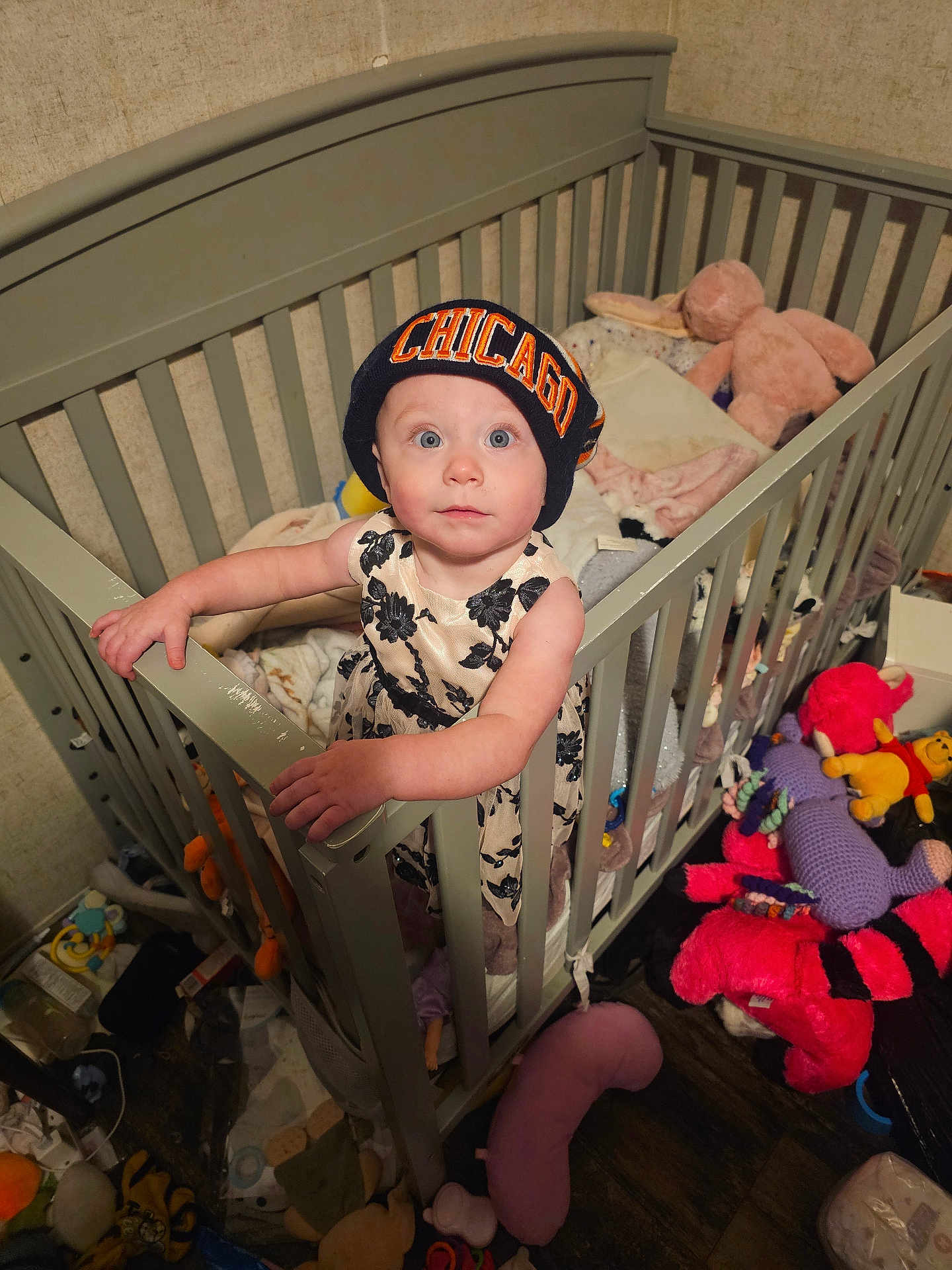 Sara-Ann is registered to the contest to win money with this photo: toddler, child, crib, beanie, hat, stuffed_animals, toys, blanket, clothing, indoor, wooden_floor, baby, person, furniture, cute, curious, gripping, standing, face, wide_eyes