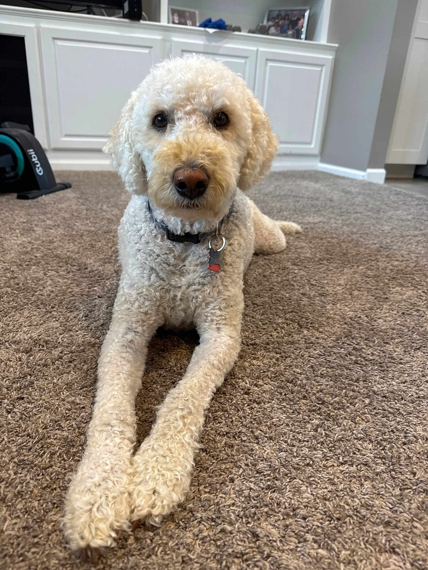 Benji