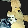 dog, blanket, plush_toy, teddy_bear, couch, indoor, cozy, white_dog, stuffed_animal, pet, snuggled, soft, comfort, dark_background, companion, cute, small_dog, fur, sitting, relaxed