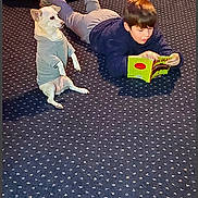 Bella is registered to the contest to win money with this photo: beige_furniture, blue_carpet, book, boy, carpet, casual, child, cozy, dog, floor, furniture, home, indoor, lying_down, ottoman, patterned_carpet, pet, reading, relaxing, sweater