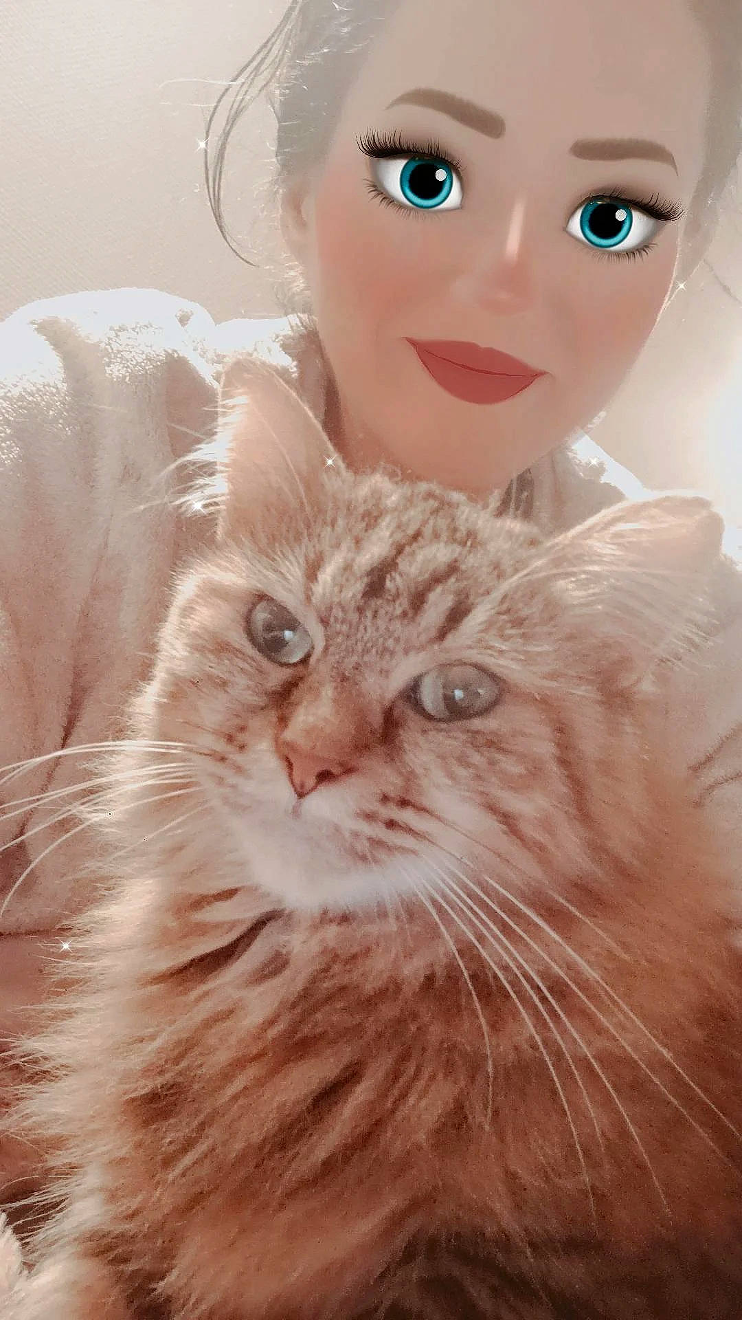 Duchesse a rejoint le concours — aidez-le/la à gagner de superbes lots ! brown_hair, carnivore, cat, doll, eye, eyelash, fashion_accessory, fashion_design, fawn, felidae, fur, hair, iris, jewellery, peach, plant, small_to_medium_sized_cats, toy, whiskers, wig