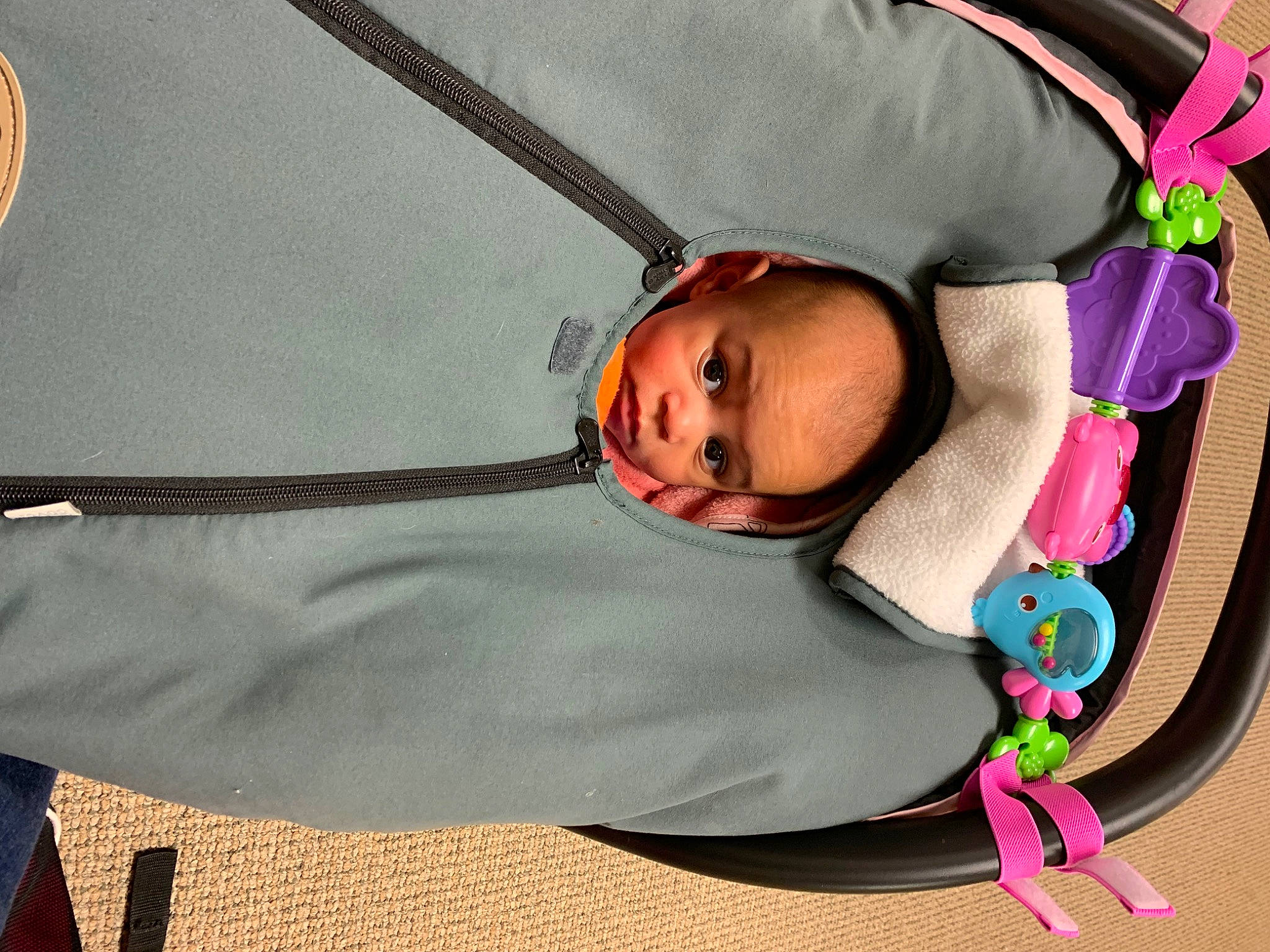 Jesselyn joined the competition — help win amazing prizes! baby, baby_carriage, baby_products, baby_safety, baby_sleeping, baby_toddler_clothing, cheek, child, comfort, eye, fashion_accessory, fun, headgear, linens, magenta, person, room, sitting, toddler, tree