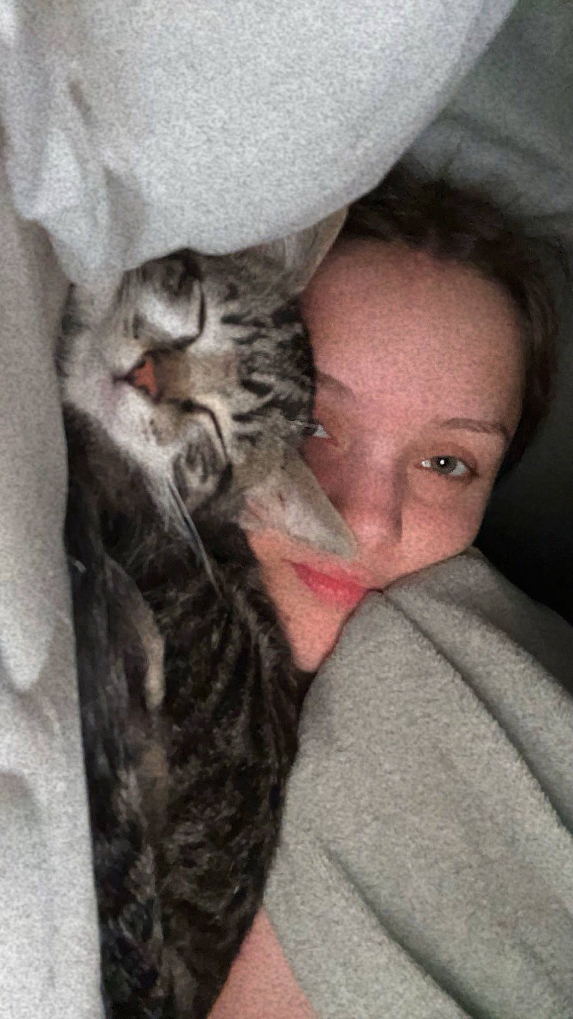 Cheshire joined the competition — help win amazing prizes! carnivore, cat, claw, comfort, domestic_short_haired_cat, ear, felidae, fur, gesture, grey, linens, nap, nose, paw, sitting, skin, sleep, small_to_medium_sized_cats, snout, whiskers