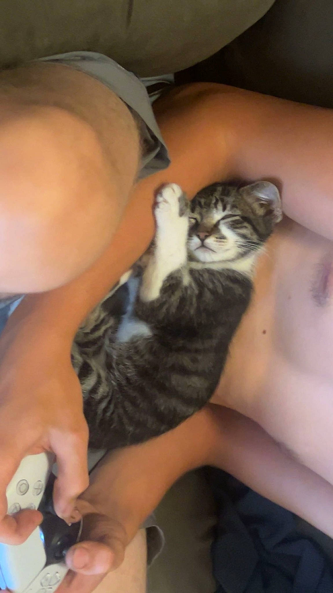 Cheshire is registered to the contest to win money with this photo: carnivore, cat, comfort, domestic_short_haired_cat, elbow, felidae, finger, foot, fur, gesture, hand, human_leg, lap, nail, paw, small_to_medium_sized_cats, thigh, thumb, whiskers, wrist