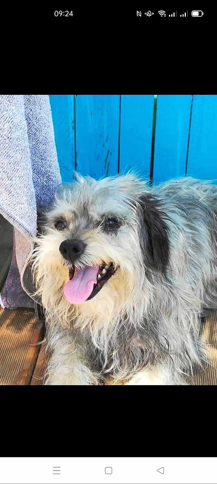 Benji