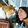Chevy is registered to the contest to win money with this photo: woman, cat, indoor, furniture, staircase, curious, gaze, orange_cat, white_cat, plaid_jacket, wood, face, pet, companion, home, portrait, closeup, interaction, domestic, casual
