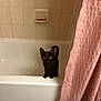 cat, black_cat, bathtub, bathroom, shower_curtain, pink_curtain, tiles, curious, pet, animal, domestic, feline, indoor, white, clean, floor, ears, eyes, tail, fur