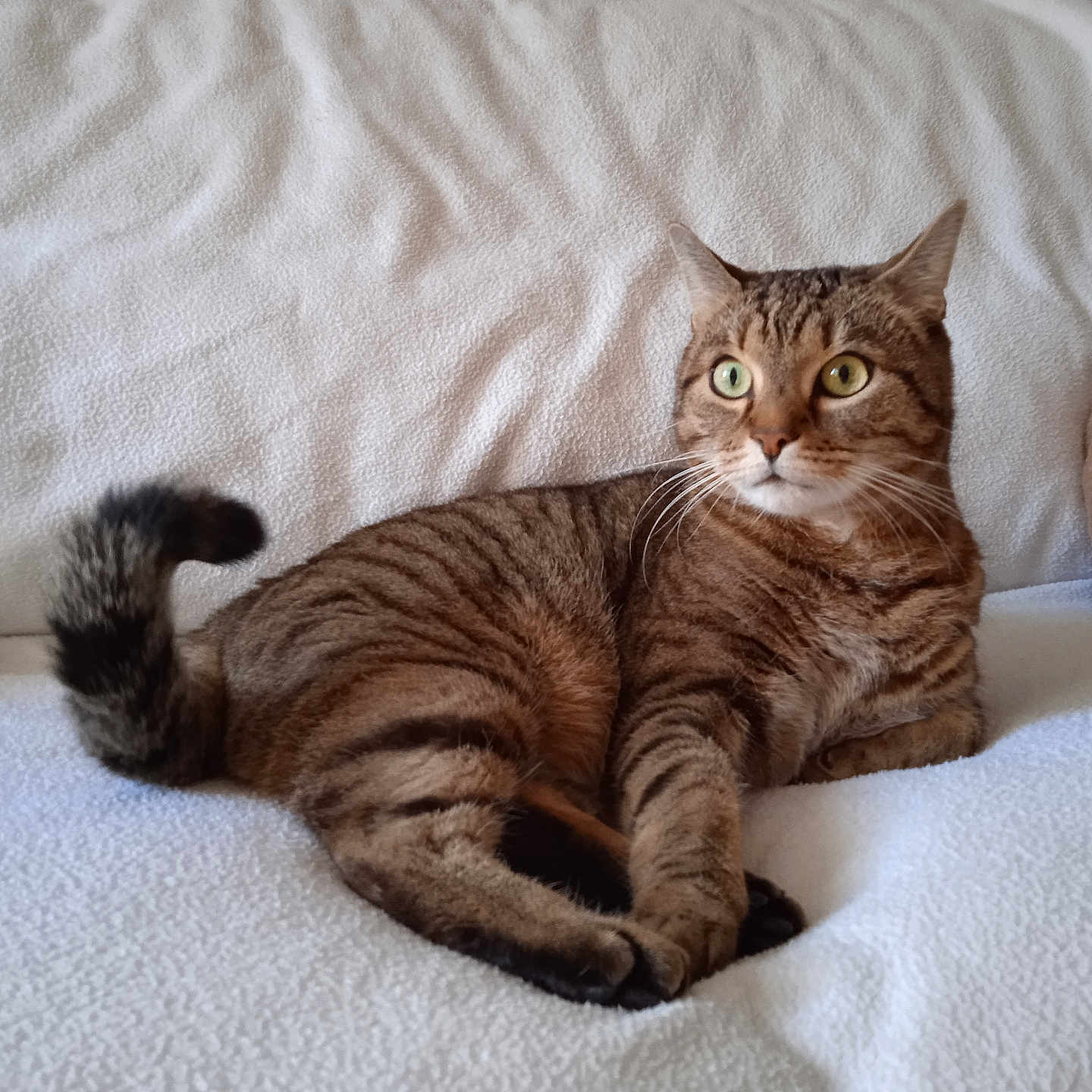 Boris
