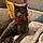 Toby
