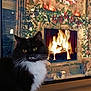 cat, black_and_white, fireplace, holiday_decorations, wreath, candles, lights, cozy, indoor, wood, stone, furniture, window, curtains, pet, fur, whiskers, eyes, warmth, celebration