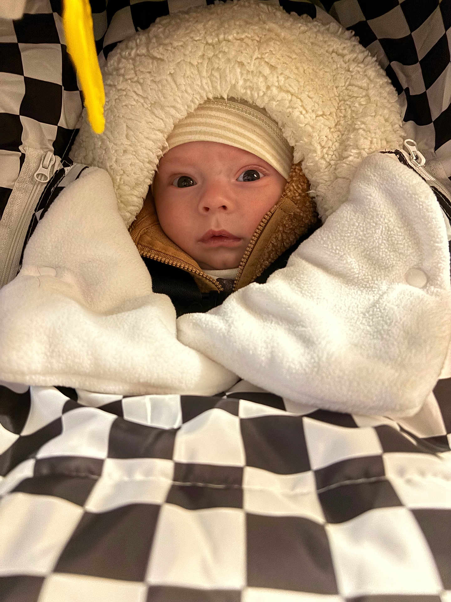 Brayden is registered to the contest to win money with this photo: baby, infant, face, headwear, jacket, blanket, checkered_pattern, warm_clothing, fur_hood, cozy, indoors, closeup, cute, child, person, portrait, winter_wear, soft_texture, curious_expression, bundle