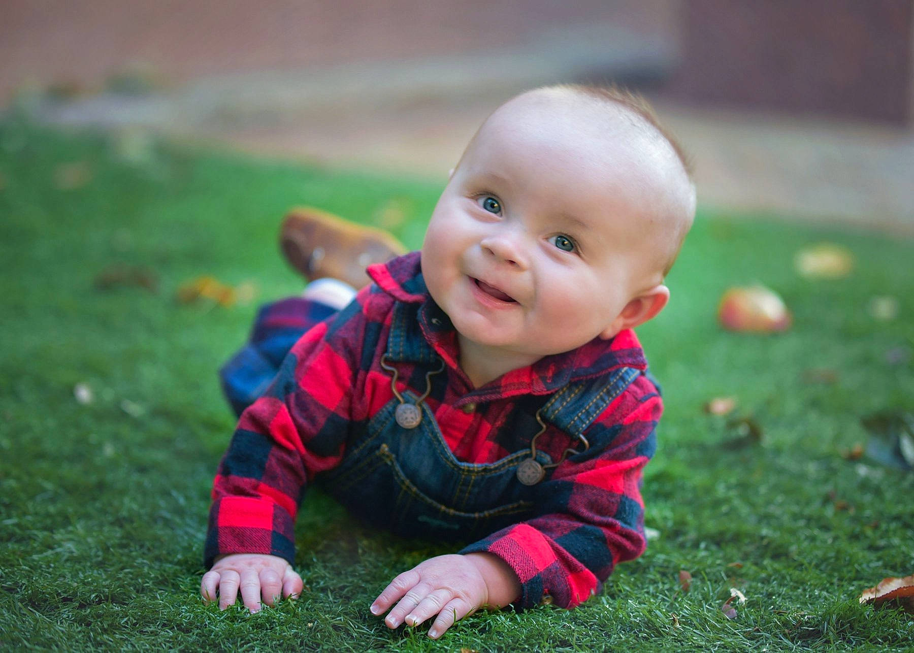 Deegan joined the competition — help win amazing prizes! baby, cheek, child, eye, face, fun, grass, green, head, lawn, leaf, people, person, photograph, photography, plant, sitting, skin, smile, toddler