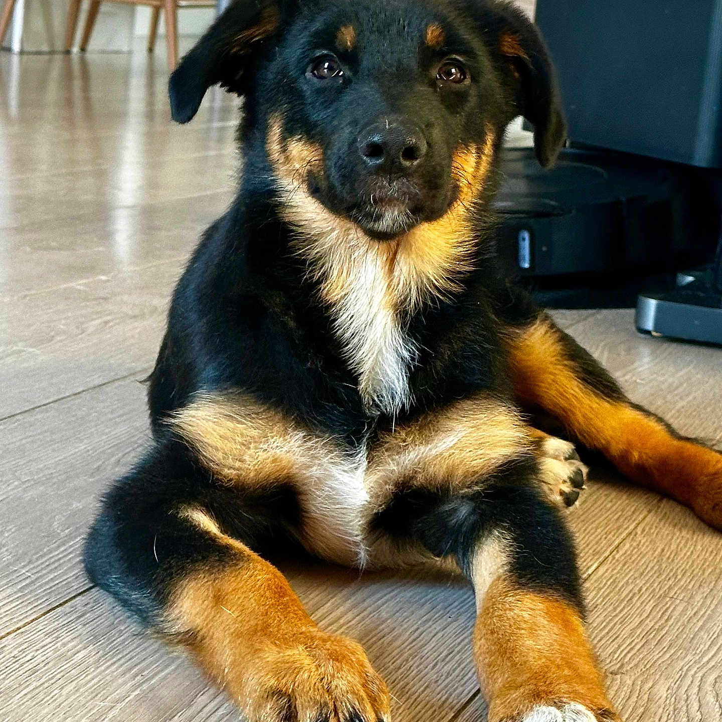 Zeus