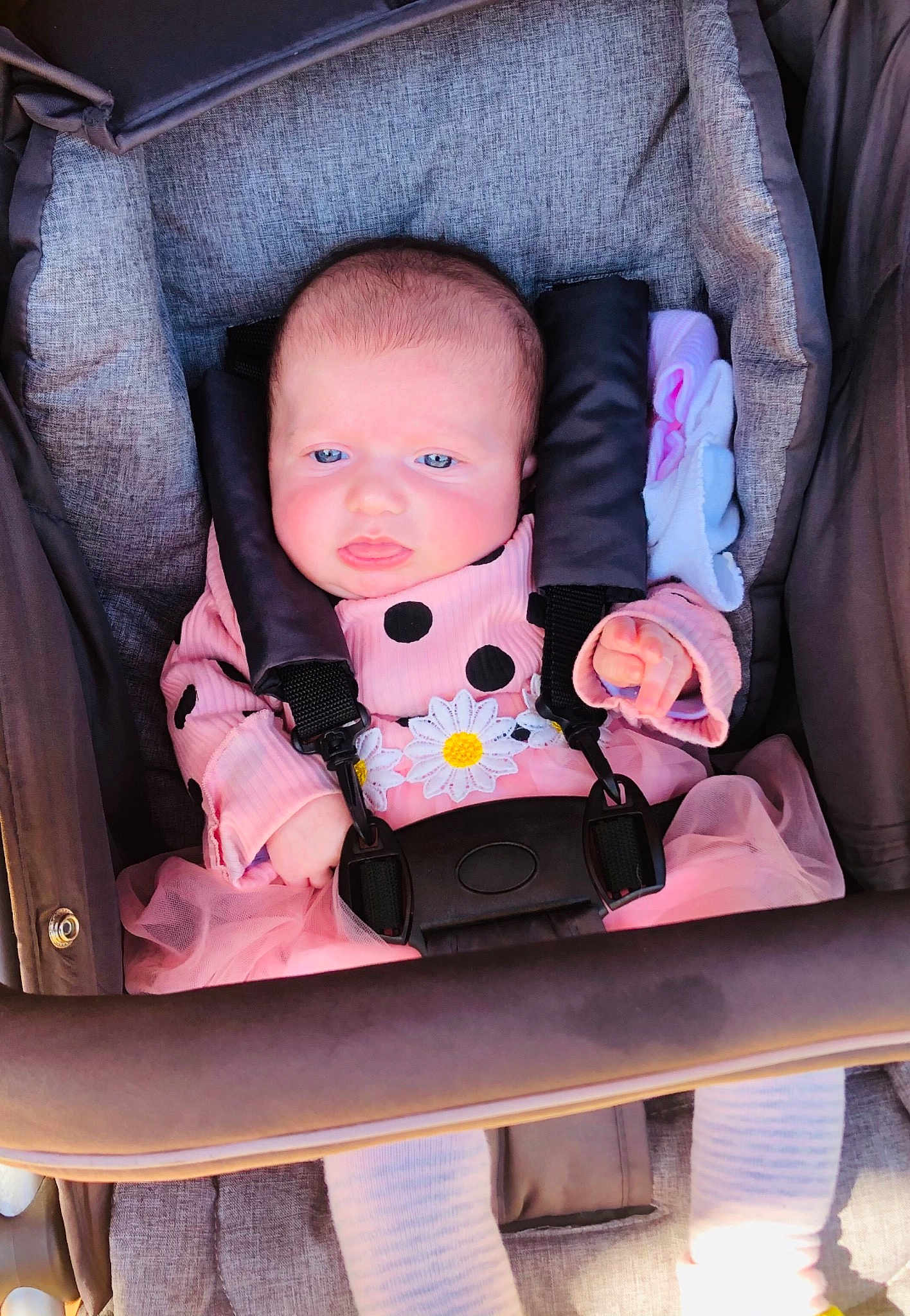 Ambre participe au concours pour gagner de l'argent avec cette photo : auto_part, baby, baby_carriage, baby_toddler_clothing, car_seat, chair, cheek, child, comfort, doll, dress, eyewear, headgear, personal_protective_equipment, pink, seat_belt, sitting, textile, toy, wood