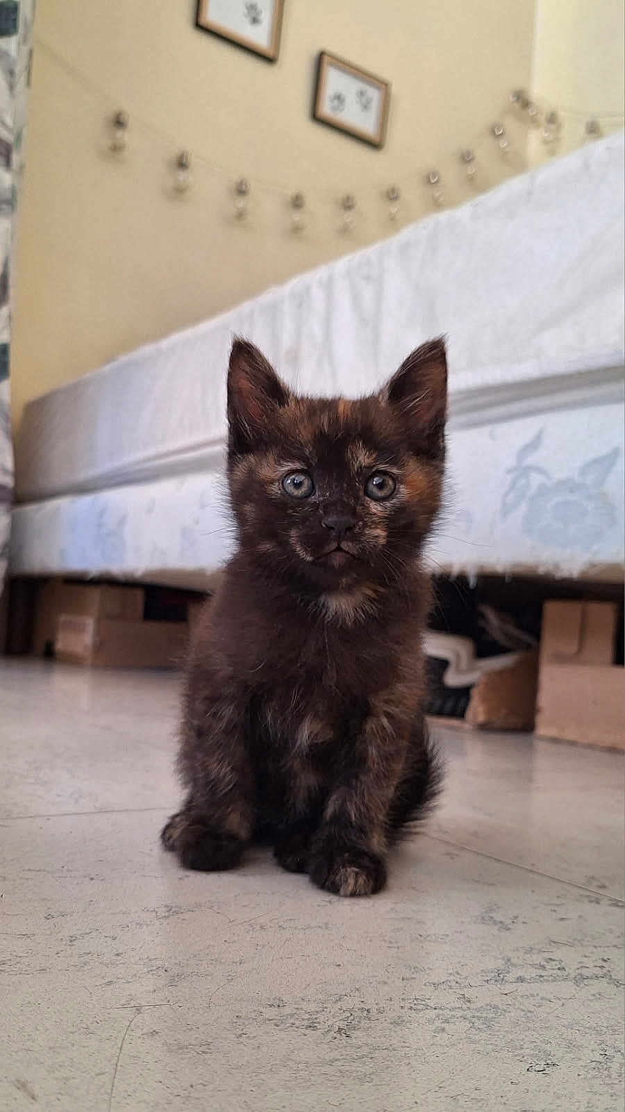 Asia