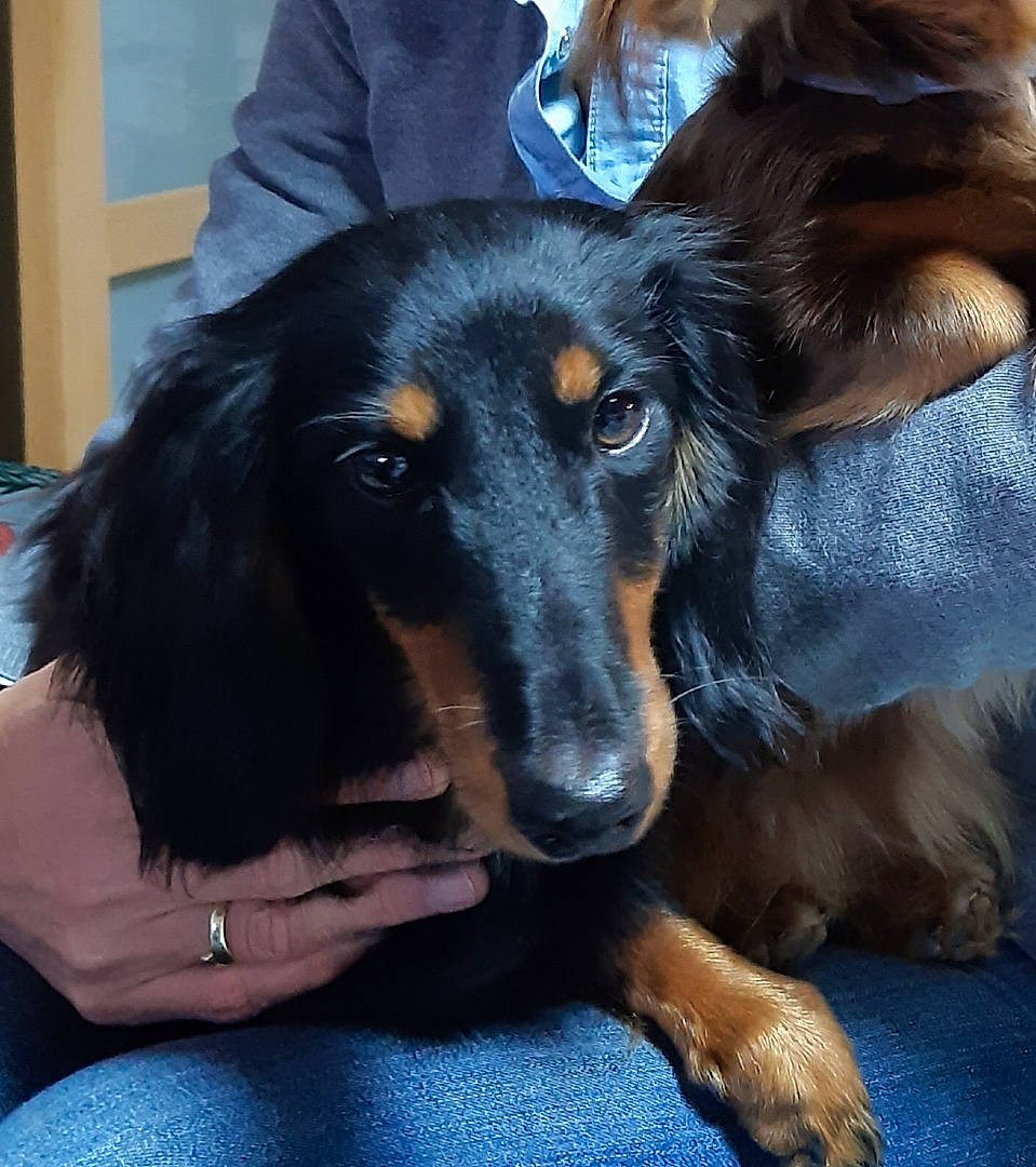 Rambo