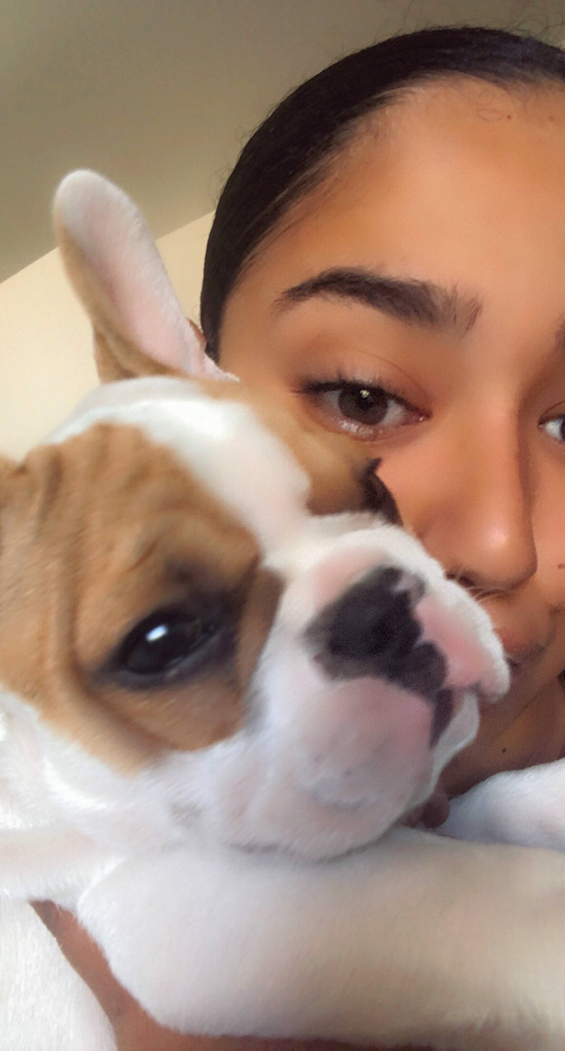 Jimmy participe au concours pour gagner de l'argent avec cette photo : canidae, carnivore, close_up, comfort, companion_dog, dog, dog_breed, ear, eye, face, fawn, fur, gesture, happy, nose, organ, snout, sporting_group, whiskers, working_animal