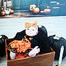 baby, infant, child, halloween, costume, orange_dress, hair_bow, pumpkin, wooden_box, candle, portrait, sitting, indoor, decorations, black_clothing, orange, face, serious_expression, festive, photography