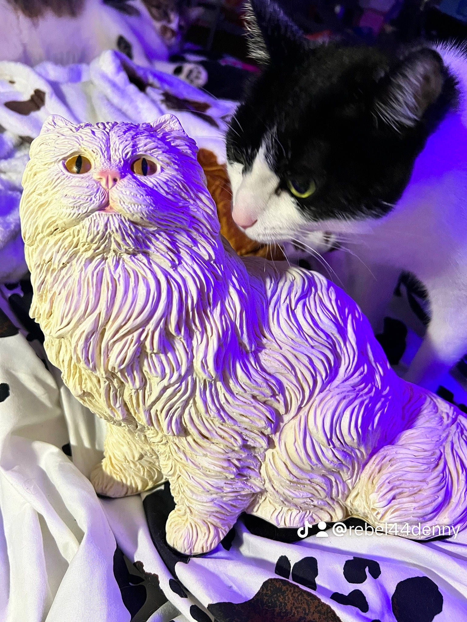 Shitten joined the competition — help win amazing prizes! art, carnivore, cat, event, felidae, fur, groundcover, holiday, magenta, pattern, paw, pink, purple, small_to_medium_sized_cats, terrestrial_animal, toy, violet, whiskers