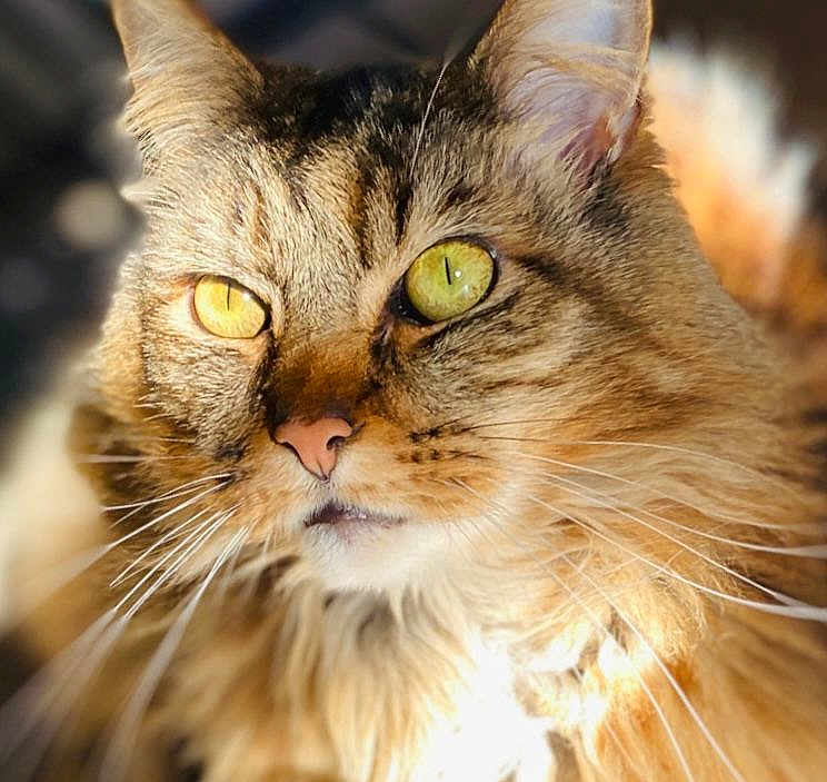 Bilbo