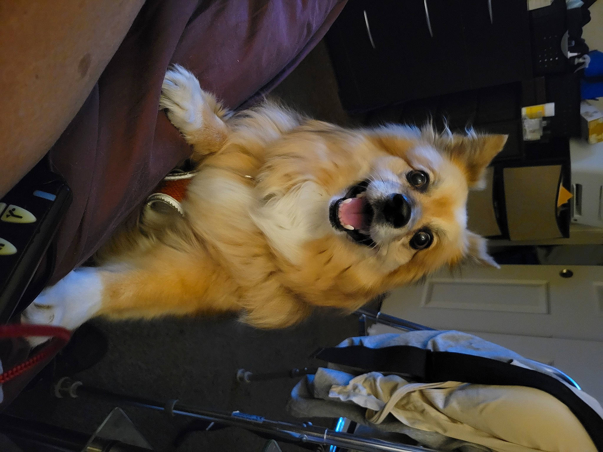 October Handsome Cooper