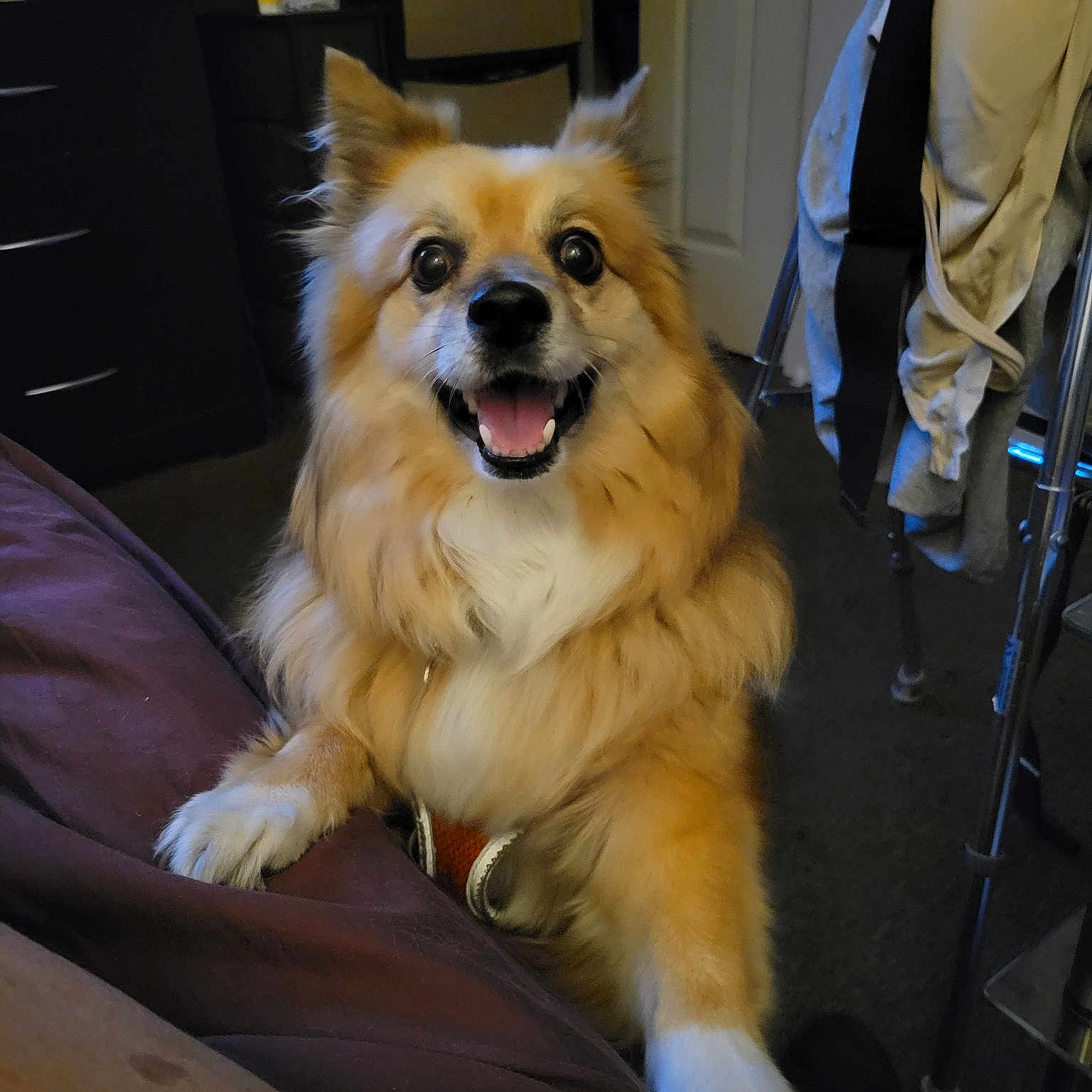 October Handsome Cooper