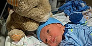 Devon joined the competition — help win amazing prizes! baby, baby_clothes, bed, blanket, blue_clothing, bull, child, cute, diaper_packaging, face, hat, hospital, infant, lying_down, medical_equipment, newborn, newborn_care, plush_toy, soft_toy, stuffed_animal
