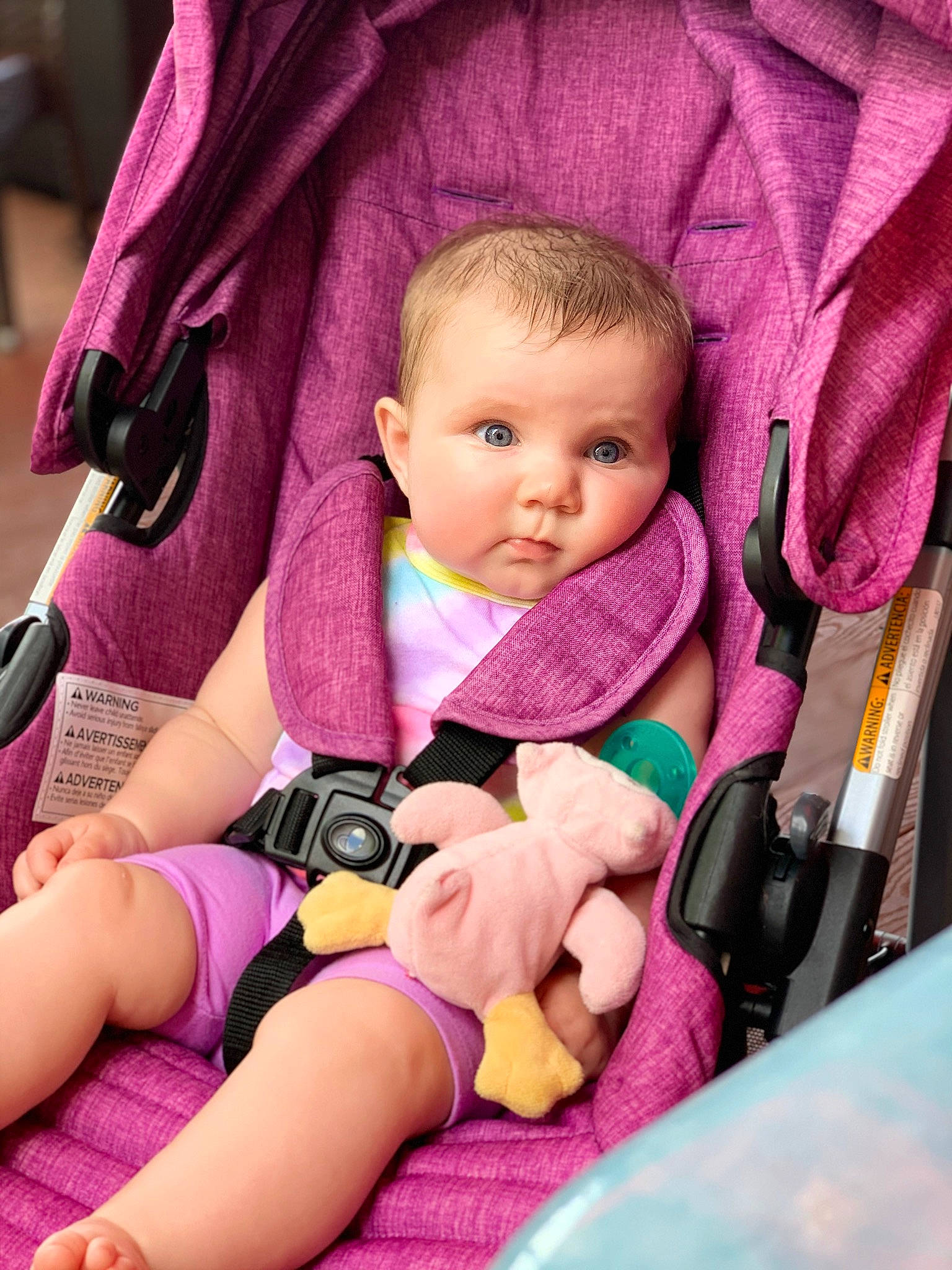 Isabella is registered to the contest to win money with this photo: baby, baby_carriage, baby_products, baby_safety, baby_toddler_clothing, car_seat, cheek, child, comfort, eye, facial_expression, lap, mammal, people, person, pink, product, skin, thigh, thumb