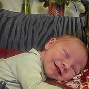 Alfie is registered to the contest to win money with this photo: baby, sleeping, smiling, infant, face, person, couch, blanket, clothing, indoor, plant, pot, home, comfort, rest, peaceful, happy, child, portrait, closeup