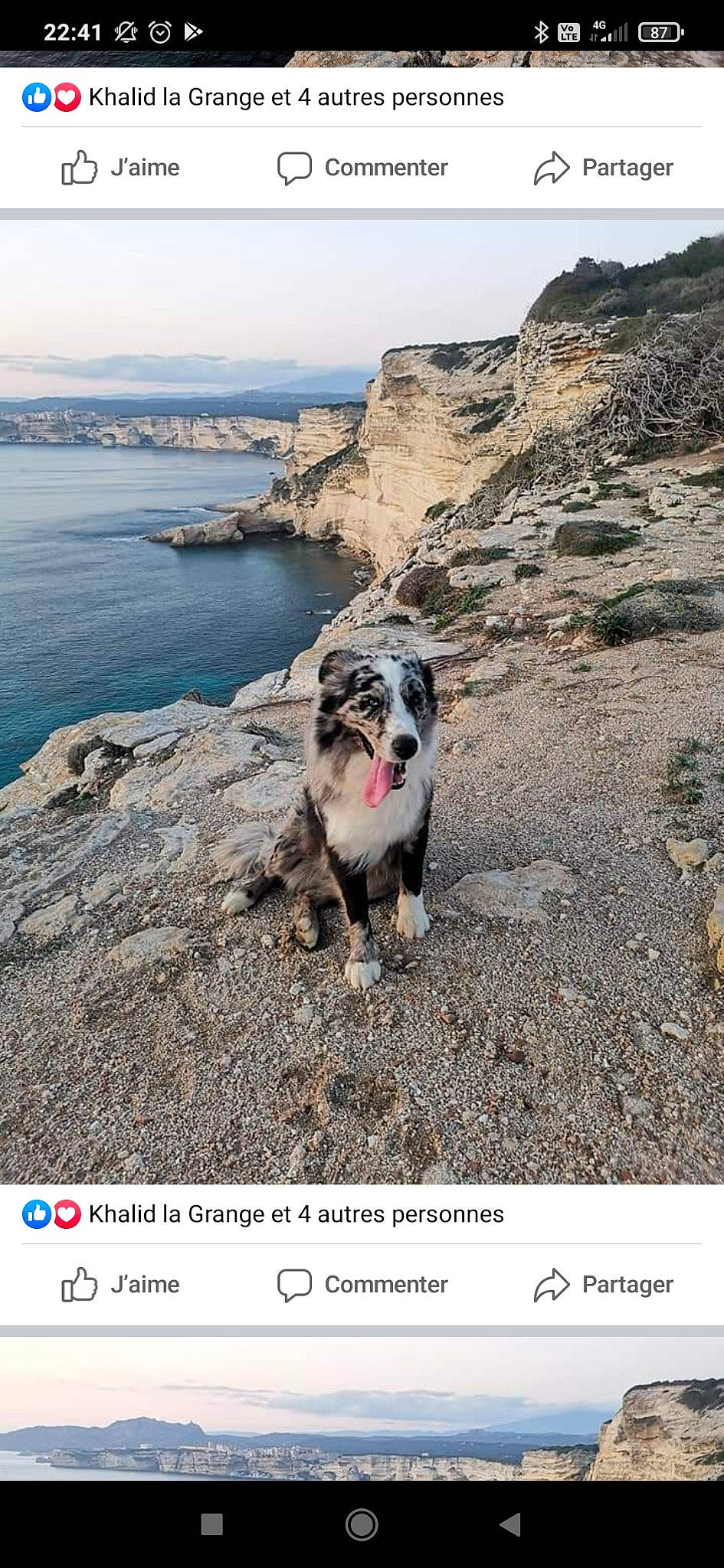 Elio a rejoint le concours — aidez-le/la à gagner de superbes lots ! bank, bedrock, carnivore, coast, coastal_and_oceanic_landforms, dog, dog_breed, formation, geological_phenomenon, geology, headland, ocean, outcrop, promontory, raised_beach, rock, shore, snout, terrain, working_animal