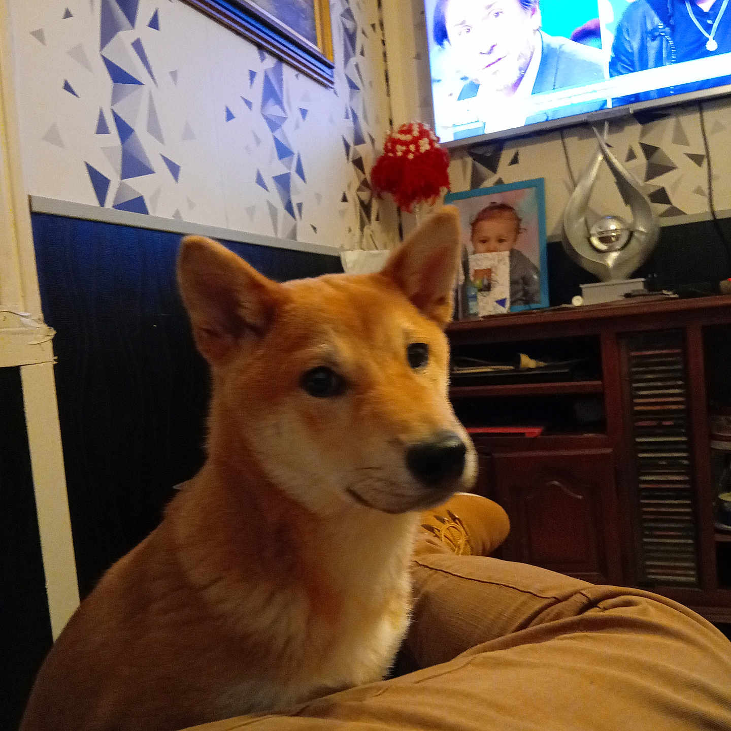 Uchiky
