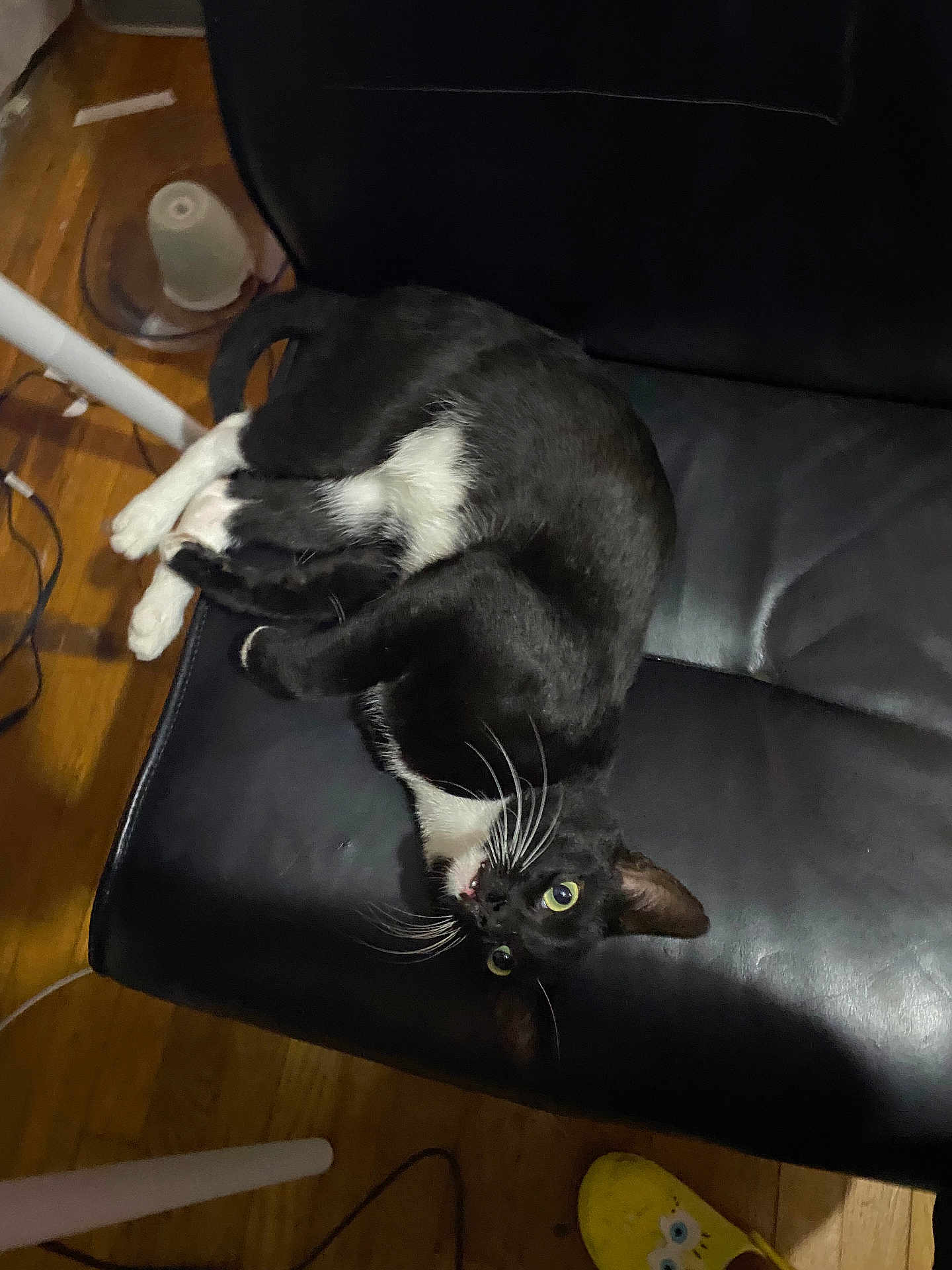 Oreo