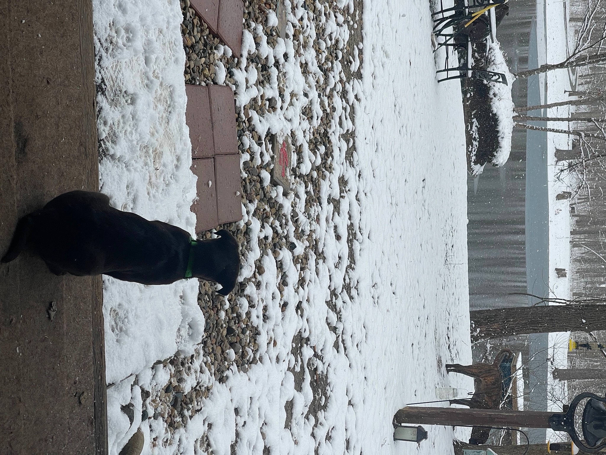 Hoss is registered to the contest to win money with this photo: black, black_and_white, branch, building, daytime, facade, freezing, grey, line, monochrome, monochrome_photography, shadow, snow, tints_and_shades, twig, wall, water, white, winter, wood